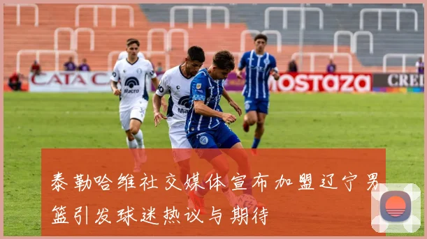 泰勒哈维社交媒体宣布加盟辽宁男篮引发球迷热议与期待