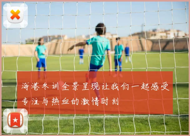 海港冬训全景呈现让我们一起感受专注与热血的激情时刻