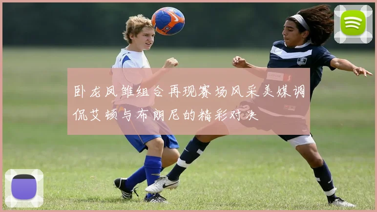 卧龙凤雏组合再现赛场风采美媒调侃艾顿与布朗尼的精彩对决