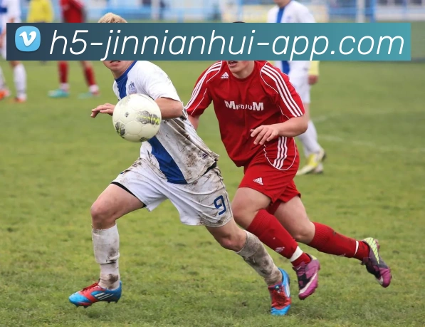 今年会官网APP 高清赛事图